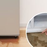 So Your Fridge Is Leaking Water. Now What?